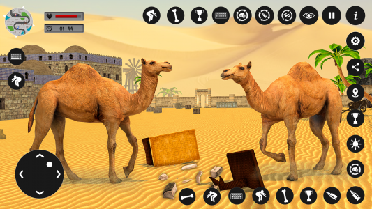 اسکرین شات برنامه Camel Family Life Simulator 2