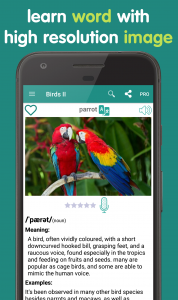 اسکرین شات 2 برنامه English vocabulary by picture