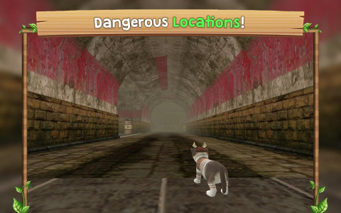اسکرین شات 6 بازی Cat Sim Online: Play with Cats