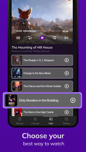 اسکرین شات 3 برنامه Roku Tv Remote Control