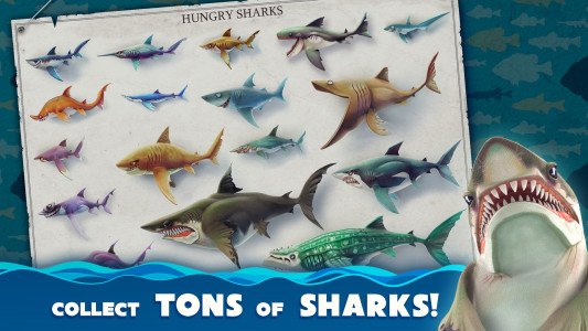 اسکرین شات 2 بازی Hungry Shark World
