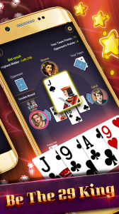 اسکرین شات بازی Play 29 Gold offline 4