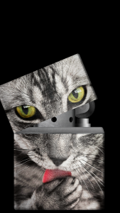 اسکرین شات 6 برنامه Lighter Simulator Concert Mode