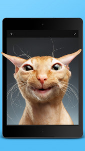 اسکرین شات برنامه Photo Wobble Editor - Jellify 5