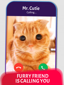 اسکرین شات بازی Cat Video Call & Chat Prank 6