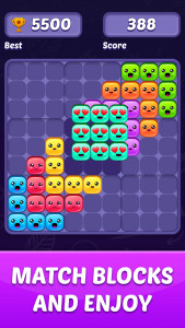 اسکرین شات بازی Block Puzzle Game 1