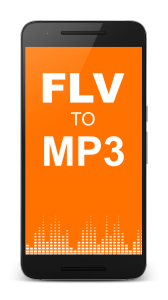 اسکرین شات برنامه FLV to MP3 Converter 1
