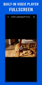 اسکرین شات 5 برنامه Video Downloader for Tumblr