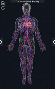 اسکرین شات برنامه Circulatory System Anatomy 2