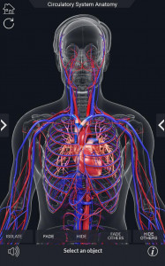 اسکرین شات برنامه Circulatory System Anatomy 3