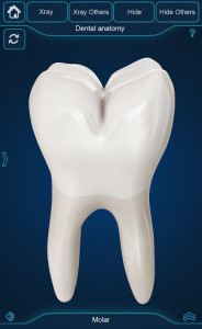 اسکرین شات برنامه My Dental  Anatomy 8