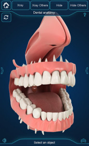 اسکرین شات برنامه My Dental  Anatomy 2