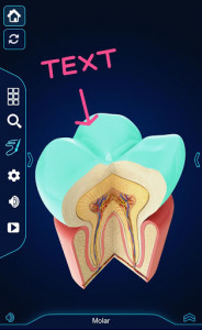 اسکرین شات برنامه My Dental  Anatomy 6