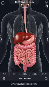 اسکرین شات برنامه Digestive System 3