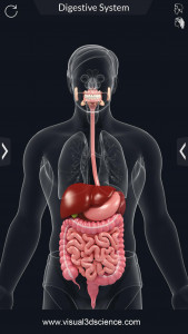 اسکرین شات 2 برنامه Digestive System