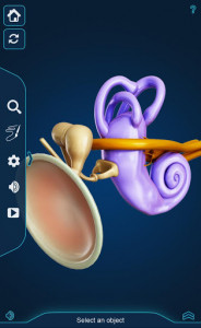 اسکرین شات برنامه My Ear Anatomy 4