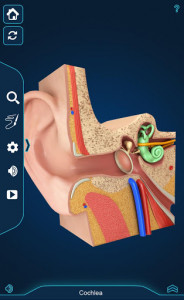 اسکرین شات برنامه My Ear Anatomy 2