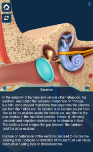 اسکرین شات برنامه My Ear Anatomy 6