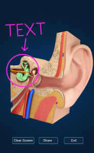 اسکرین شات برنامه My Ear Anatomy 5