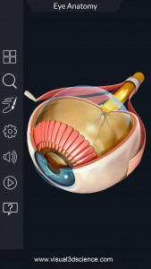 اسکرین شات 3 برنامه My Eye Anatomy