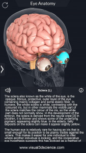 اسکرین شات 6 برنامه My Eye Anatomy