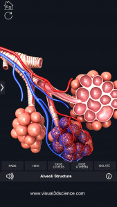 اسکرین شات برنامه Respiratory System Anatomy 6