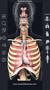 اسکرین شات برنامه Respiratory System Anatomy 3