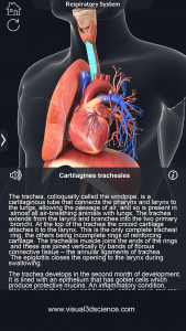 اسکرین شات برنامه Respiratory System Anatomy 5