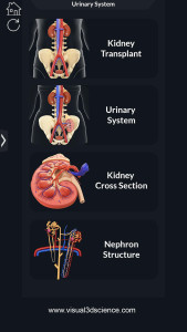 اسکرین شات 2 برنامه My Urinary System