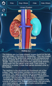 اسکرین شات برنامه My Urinary System 3