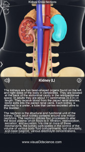 اسکرین شات برنامه My Urinary System 5