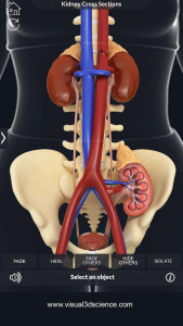 اسکرین شات 6 برنامه My Urinary System