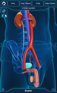 اسکرین شات برنامه My Urinary System 4