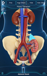اسکرین شات برنامه My Urinary System 2