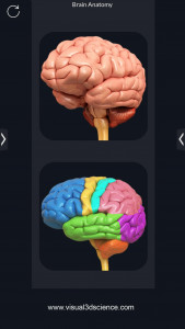 اسکرین شات برنامه My Brain Anatomy 2