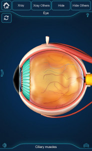 اسکرین شات برنامه Eye Anatomy Pro. 3