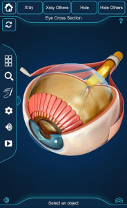 اسکرین شات برنامه Eye Anatomy Pro. 2