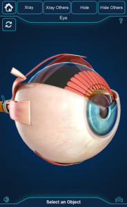 اسکرین شات برنامه Eye Anatomy Pro. 4