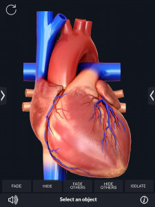 اسکرین شات برنامه Heart Anatomy Pro. 2