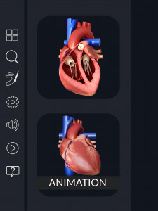 اسکرین شات برنامه Heart Anatomy Pro. 1