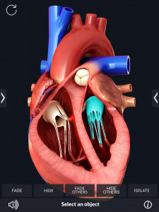 اسکرین شات برنامه Heart Anatomy Pro. 3