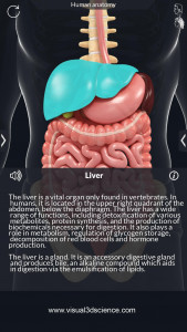 اسکرین شات 7 برنامه Human Anatomy