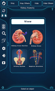 اسکرین شات برنامه Kidney Anatomy Pro. 1