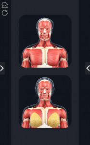 اسکرین شات برنامه My Muscle Anatomy 1
