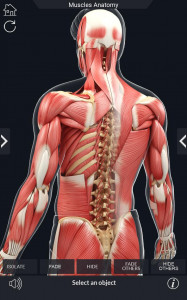 اسکرین شات برنامه My Muscle Anatomy 4