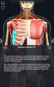 اسکرین شات برنامه My Muscle Anatomy 5