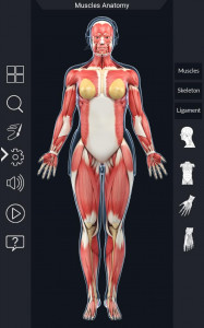 اسکرین شات برنامه My Muscle Anatomy 3