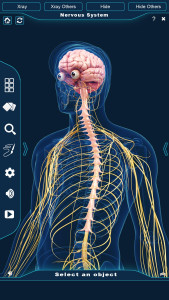 اسکرین شات 3 برنامه Nervous System Anatomy Pro.
