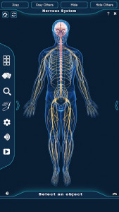 اسکرین شات برنامه Nervous System Anatomy Pro. 1