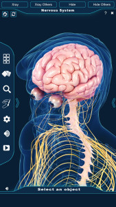 اسکرین شات 2 برنامه Nervous System Anatomy Pro.